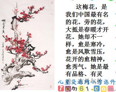 梅花魂课件12