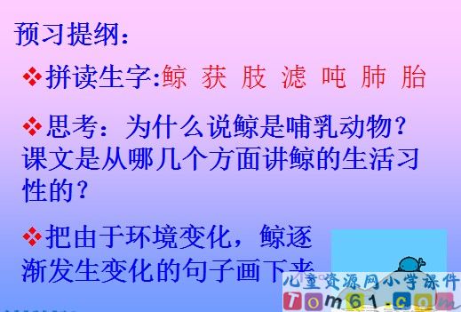 鲸课件10