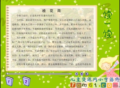 桂花雨课件14