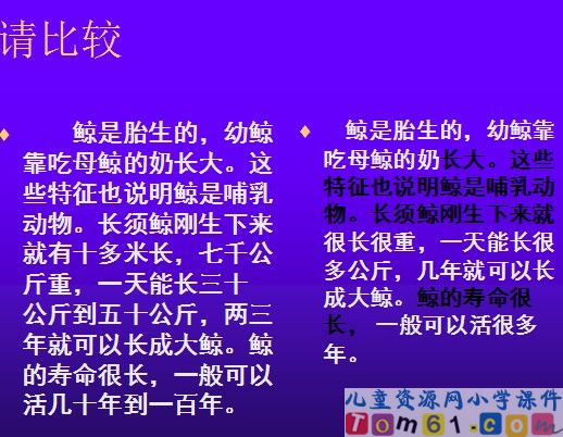鲸课件18