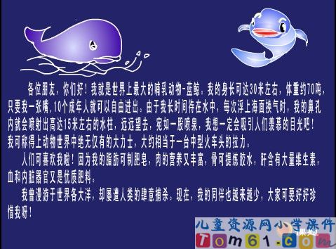鲸课件22