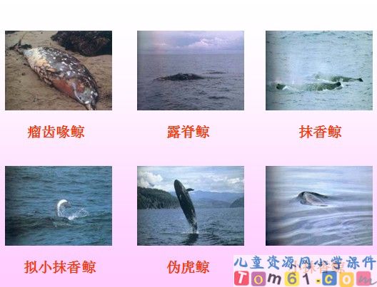 QQ截图2012031395625.jpg