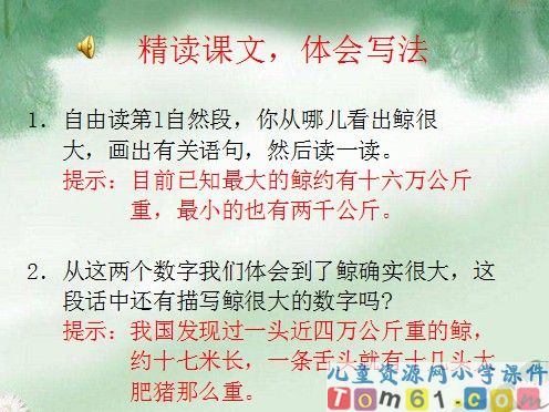鲸课件7