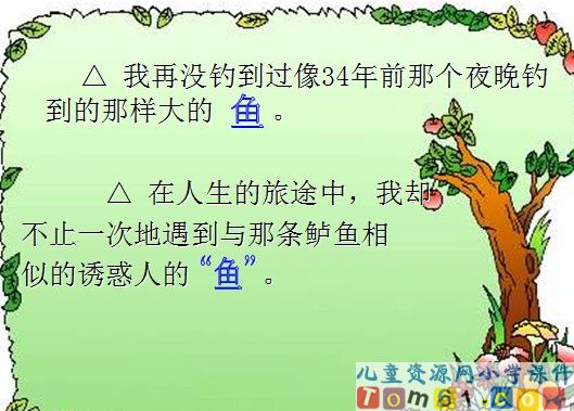 钓鱼的启示课件12