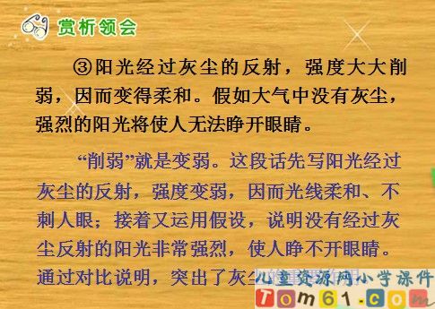 假如没有灰尘课件5