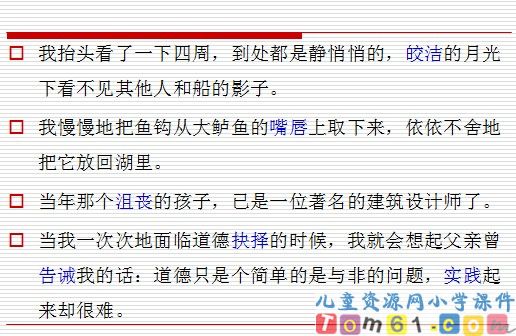 钓鱼的启示课件15