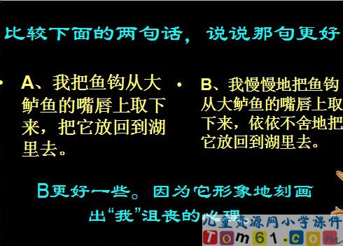 钓鱼的启示课件16
