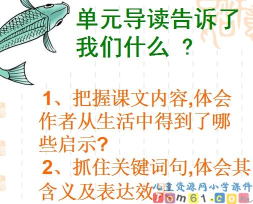 钓鱼的启示课件23