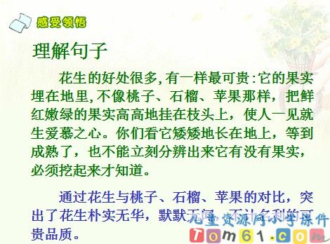 落花生课件8