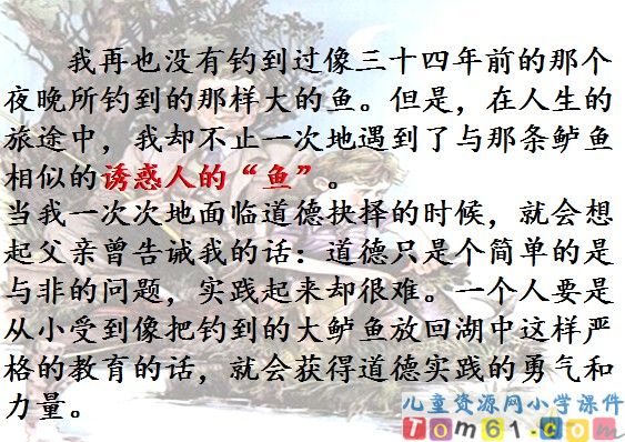 钓鱼的启示课件14