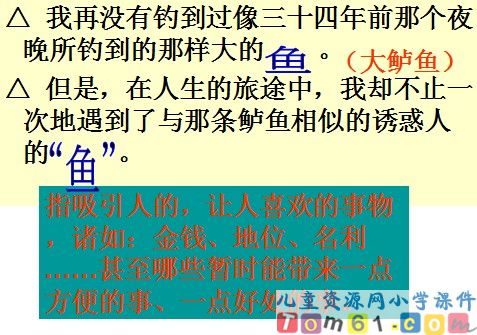 钓鱼的启示课件6
