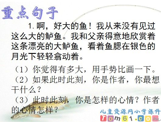 钓鱼的启示课件5