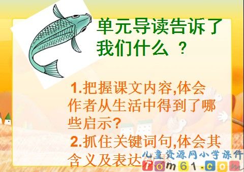 钓鱼的启示课件7