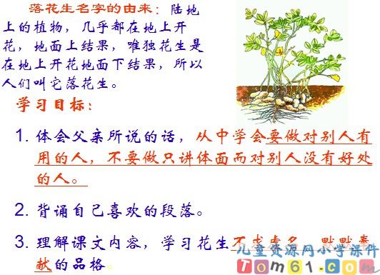 落花生课件9