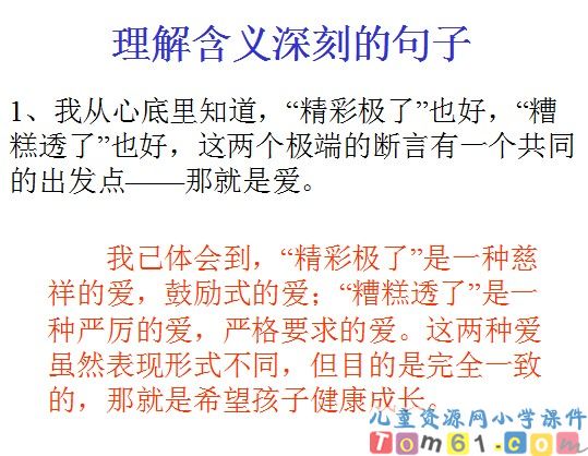 “精彩极了”和“糟糕透了”课件30