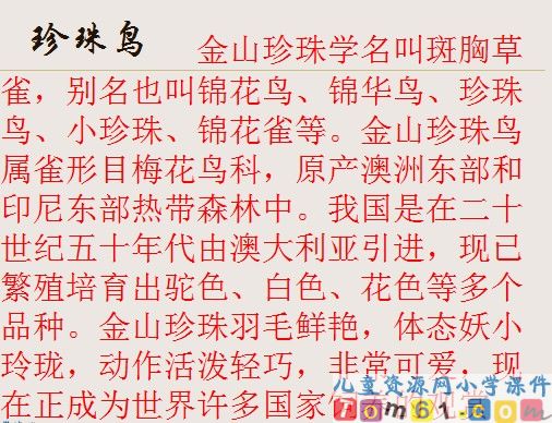珍珠鸟课件17