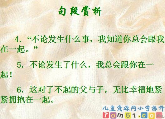 地震中的父与子课件25