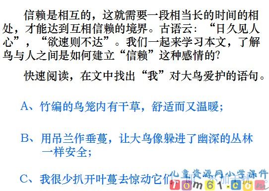 珍珠鸟课件16