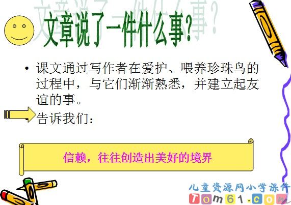 珍珠鸟课件15