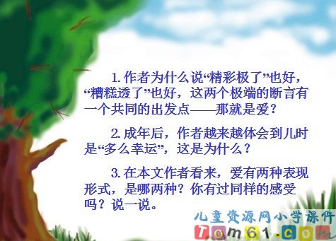 “精彩极了”和“糟糕透了”课件12
