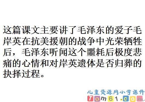青山处处埋忠骨课件6