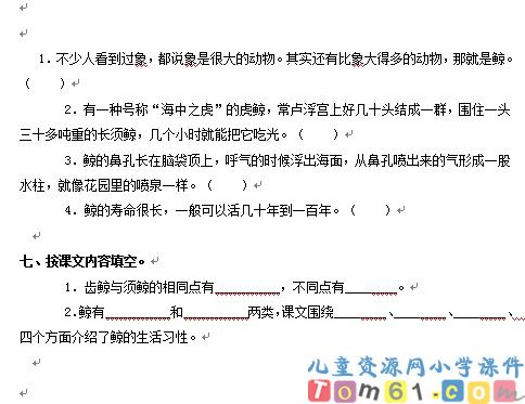 鲸试卷1
