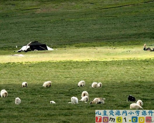 草原课件14