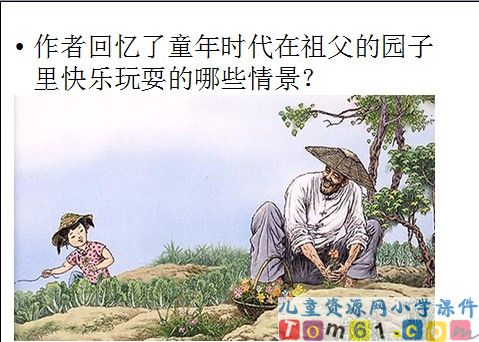 祖父的园子课件8