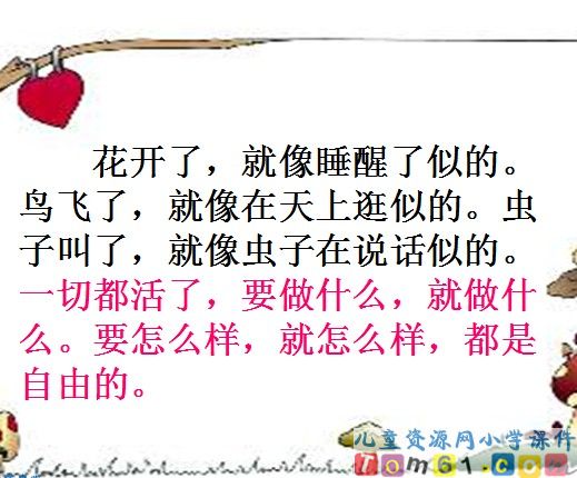 祖父的园子课件15