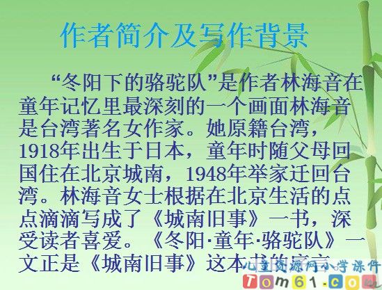 冬阳 童年 骆驼队课件5