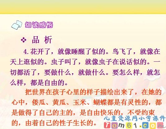 祖父的园子课件6