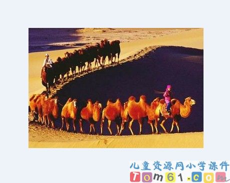 冬阳 童年 骆驼队课件11