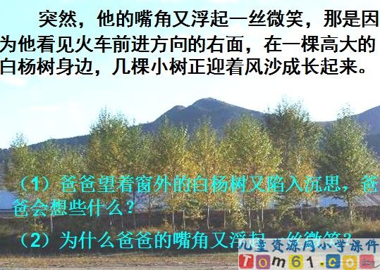 白杨课件4