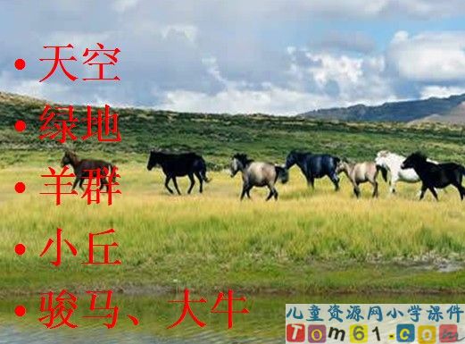 草原课件9