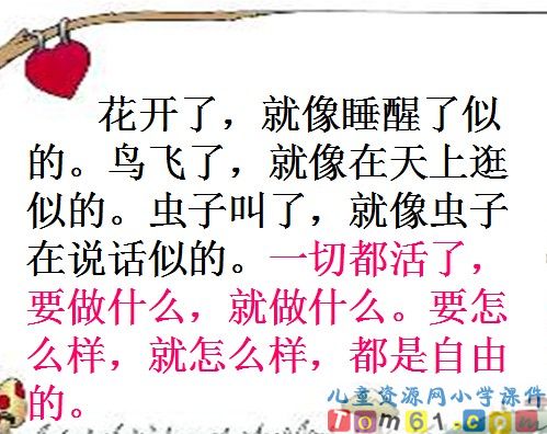 祖父的园子课件3