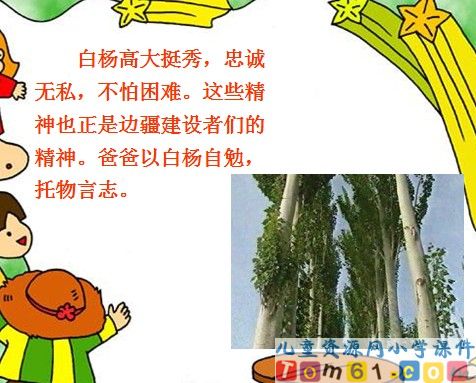 白杨课件7