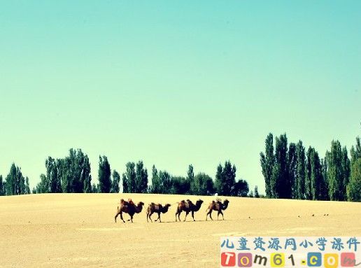 丝绸之路课件13