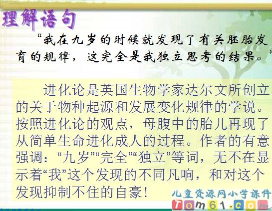 童年的发现课件4