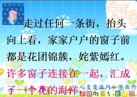 自己的花是让别人看的课件7