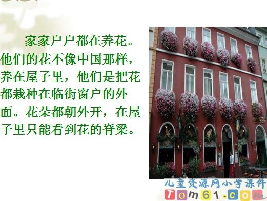 自己的花是让别人看的课件6