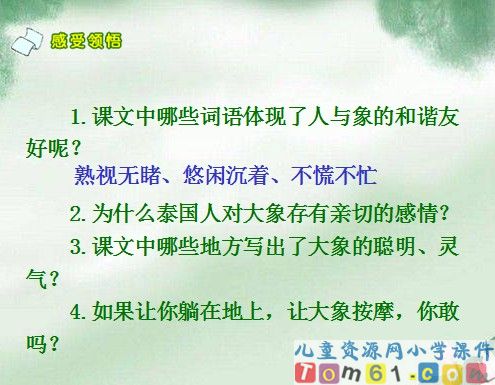 与象共舞课件4