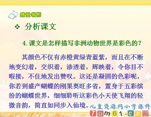 彩色的非洲课件4