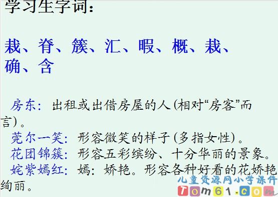 自己的花是让别人看的课件14