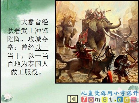与象共舞课件5