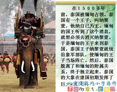与象共舞课件3