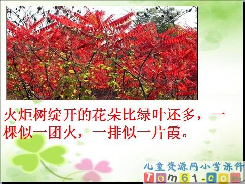 彩色的非洲课件5