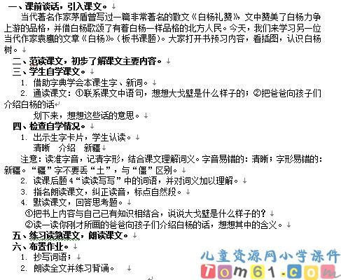 白杨教案6