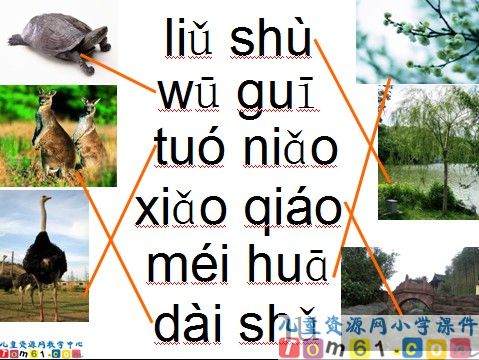 复习三课件