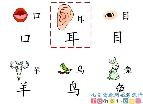 口耳目课件3
