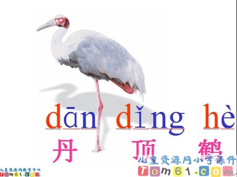 复习四课件1